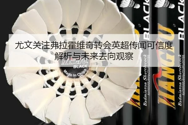 尤文关注弗拉霍维奇转会英超传闻可信度解析与未来去向观察